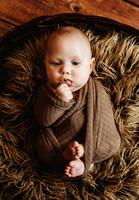 Greyson & Hudson Milestone Sessions